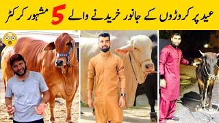 5 Most Expensive Qurbani Of Pakistani Cricketers | Urdu Facts HD