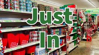 Dollar Tree 2024 | NEW Finds This Week