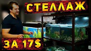 Обзор стеллажа для аквариумов  и его обитателей!