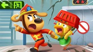 Evacuación en Caso de Terremoto  Dibujos Animados Sheriff Labrador en Español