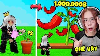 SAMMY TRỞ THÀNH TỈ PHÚ 1 TRIỆU ĐÔ KHI TRỒNG CÂY SIÊU TO KHỔNG LỒ TRONG GROW A GARDEN