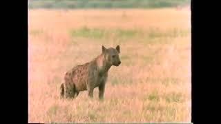 National Geographic Special, A Passion for Africa (1992)