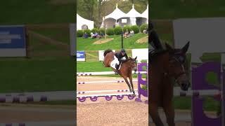 Best jump  #horses #jumping #equestrian #competition #fyp #shorts #blowup #jumping #highjump