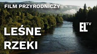 Leśne rzeki. |FILM PRZYRODNICZY|