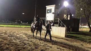 Kentucky Downs Preview Day: Spectacular Gem and Jimmy Baker