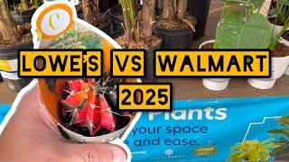 Lowe’s vs Walmart Indoor Plants 2025