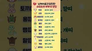 남부러울건 없지만 쇼윈도우 부부 띠 궁합 #띠별운세 #궁합 #부부 #쇼츠 #shorts