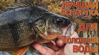 Топ оснастка для осени ловит трофеи | Narval Fishing Poker 762L + JigRig | Как ловить окуня осенью