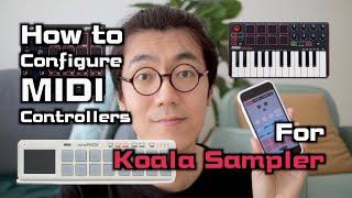 How to Connect & Configure MIDI Controllers for Koala Sampler | GAS Therapy #12