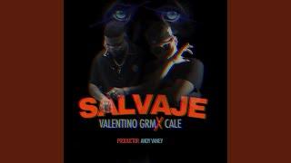 Salvaje