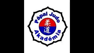 judo 5 kyu övvizsga