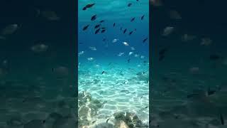 Discover the life underwater in the Akamas with George's Watersports in Latchi