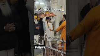 Waheguru ਜੀ guru granth sahib ji#goldentemplerecords #gurbani #amritvela