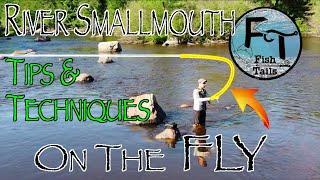 Fly Fish River Smallmouth Bass: Successful fishing tips, techniques, tactics using poppers streamers