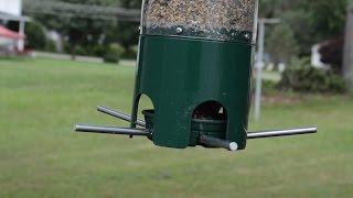 New! Keep Squirrels Out of Your Bird Seed With This Feeder