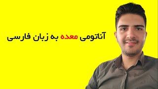 دستگاه گوارش | آناتومی معده به زبان فارسی | محمدرضا مطلوبی
