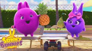 Summer Fruits - Sunny Bunnies | Cartoons For Kids