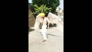 Wings 3d Vfx in Cinema 4D