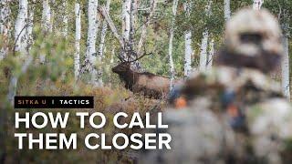 Simple Elk Call Techniques for the Last Few Yards