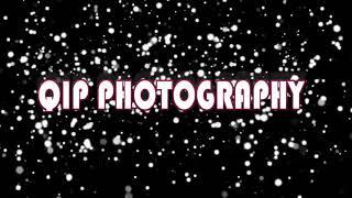 Qip photography