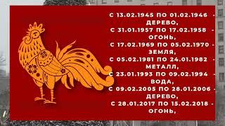 Гороскоп на 2024 год для рожденных в год ПЕТУХА, 1957, 1969, 1981, 1993, 2005 годов рождения