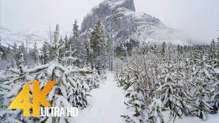 4K Scenic Nature Trails of Canada, Wintertime - Part #2 - Short Preview Video