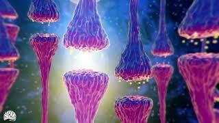 528hz, Miracle Tone , Dna Repair & Healing, Nerve And Cell Regeneration, Complete Body Healing