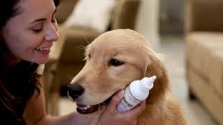 Dr. Gold's Ear Therapy