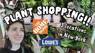 Big Box Plant Shopping at 3 Different Locations!  Home Depot & Lowe's in Westchester, NY ️