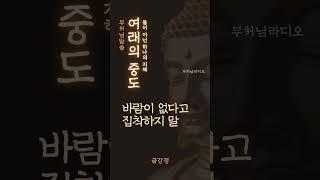 여래의 중도 | 둘이 아닌 하나의 지혜 | 금강경 | 부처님말씀 | 불교 | 명언, 명상, 지혜