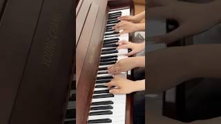 누구 손이게? #고양이춤 #catdance #piano