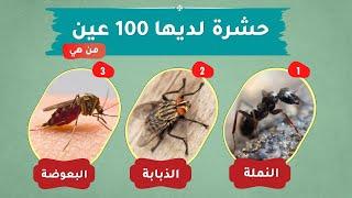 10 ألغاز صعبة العباقرة وحدهم من يستطيعوا حلها.! الغاز مخادعة للاذكياء..!!