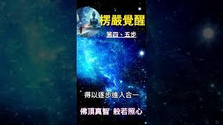楞嚴覺醒 第四、五步：佛頂真智 般若照心 #開悟 #覺醒 #靈性成長