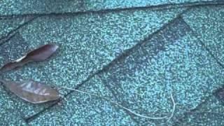 Roofing problems - what to look for