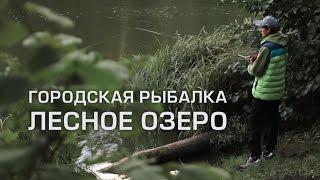Городская рыбалка  Лесное озеро