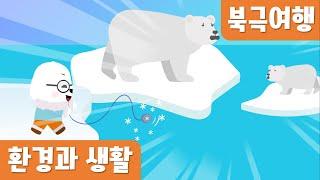 북극여행｜환경과생활｜지구온난화