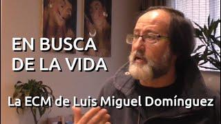 En busca de la vida - La ECM de Luis Miguel Domínguez