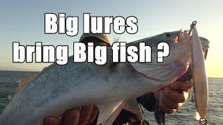 Big lure bring a Big Fish ? Rocky D Fishing Vol.163