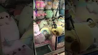 Pusheen Claw Machine  #shorts #clawmachine #pusheen #arcade