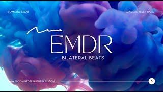Vagus Nerve Reset with EMDR Music | Release Trauma & Regulate Your Nervous System | 40 BPM 