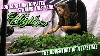 Our Most Anticipated Strains This Year and The Journey Of A Lifetime!