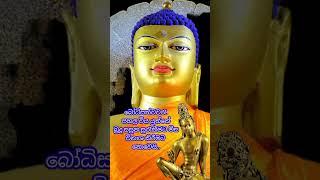 බෝසත් වෙස් ගත් පාපී මාරයා