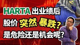 手套股HARTA出业绩后股价突然暴跌？是危险还是机会呢？