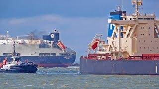 SHIPPING TRAFFIC AT PORT OF ROTTERDAM NETHERLANDS - 4K SHIPSPOTTING JULY 2024