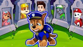 What Happened To Ryder And His Friends??? - Chase Sad Story | PAW Patrol Ultimate Rescue | Rainbow 3