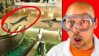 Shark Tank EXPLODES Inside Mall