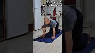 노년 취미요가 ( 267 ) #yoga for seniors #shorts