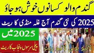 Aj Gundam ka rate || Today Gundam ki qimat || Gandam ka rate Today || new wheat price 2025