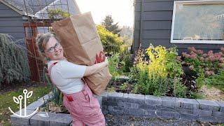 Satisfying Fall Garden Cleanup + IRIS Winner! 