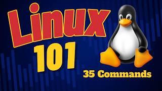 The 35 Most Popular Linux & Terminal Commands - Full Course